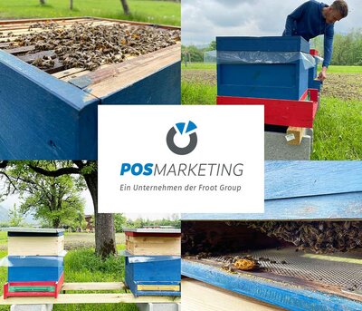 Bienen bei der POS Marketing GmbH